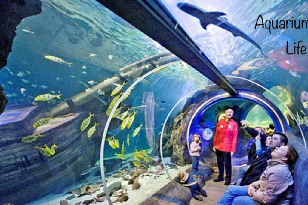 Studio 2 Adultes 2 Enfants Parcs Disneyland Paris Монтеврен Екстер'єр фото